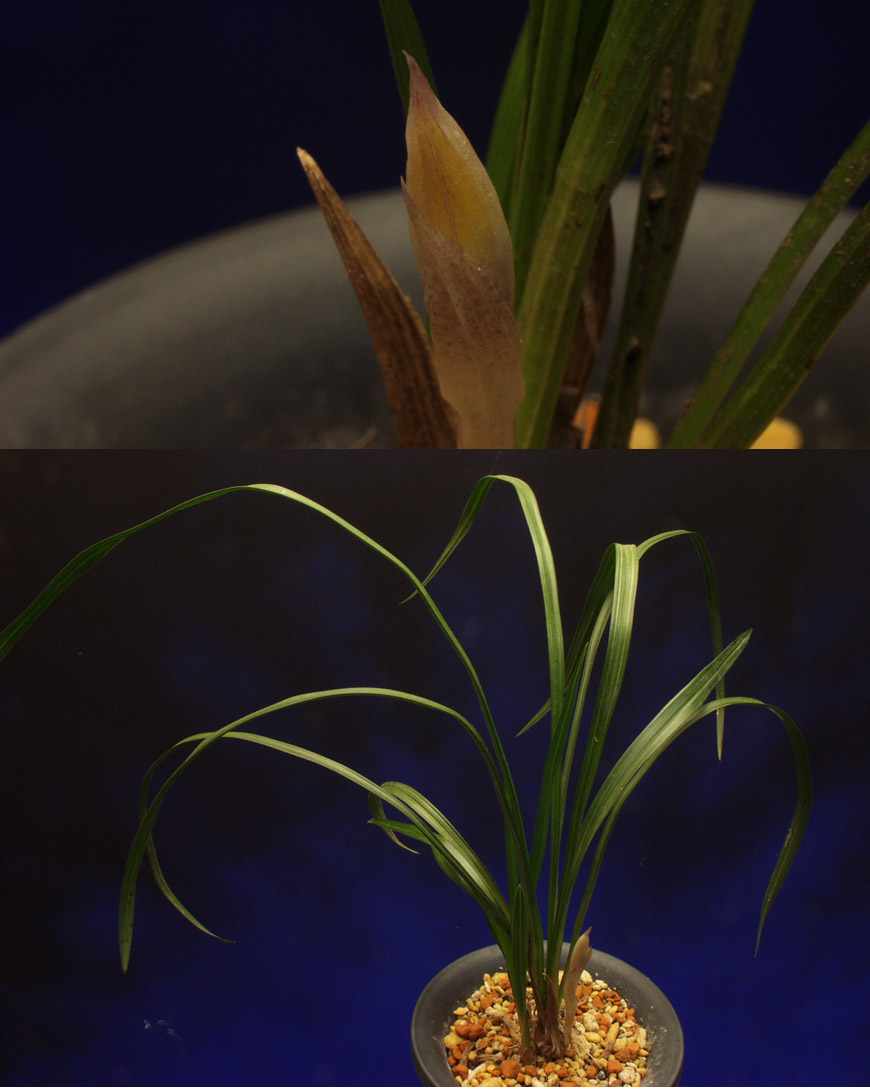 ������ ū������ �� �� �ֽ��ϴ�.