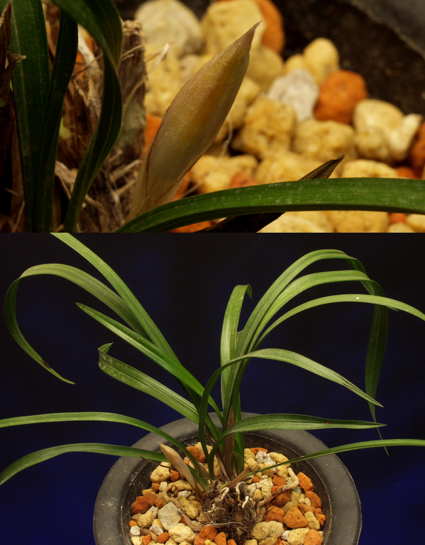 ������ ū������ �� �� �ֽ��ϴ�.