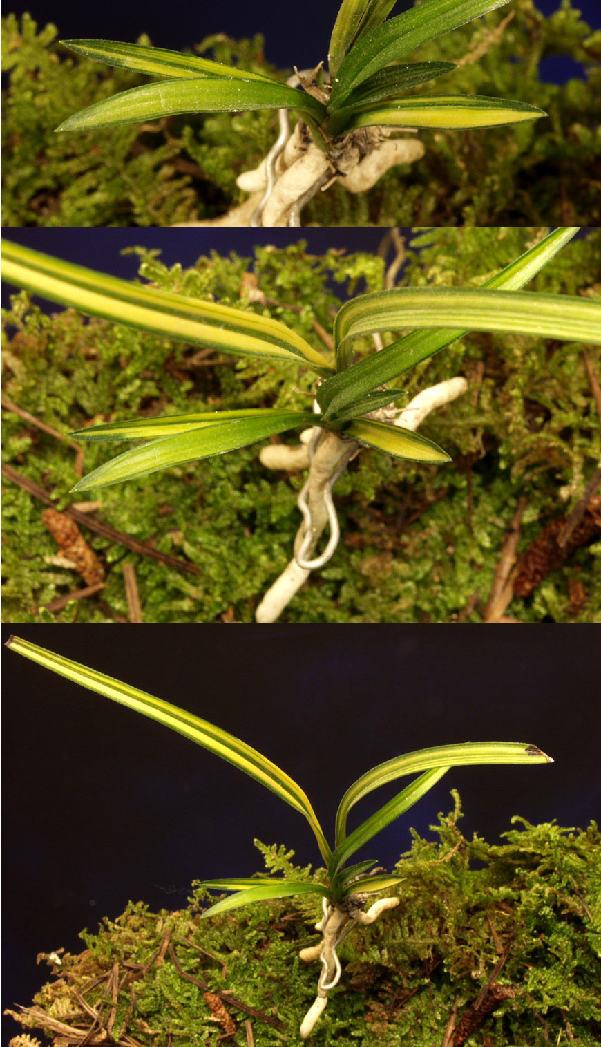 ������ ū������ �� �� �ֽ��ϴ�.