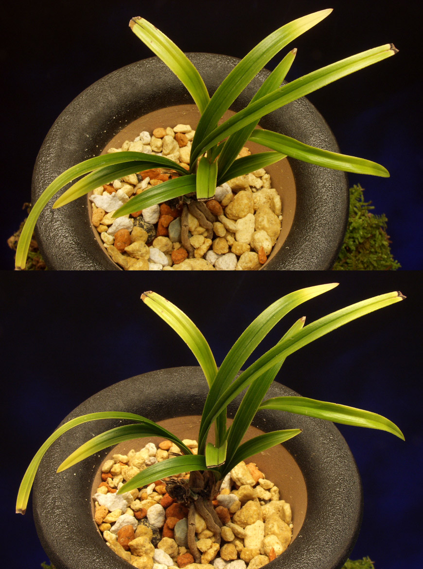 ������ ū������ �� �� �ֽ��ϴ�.