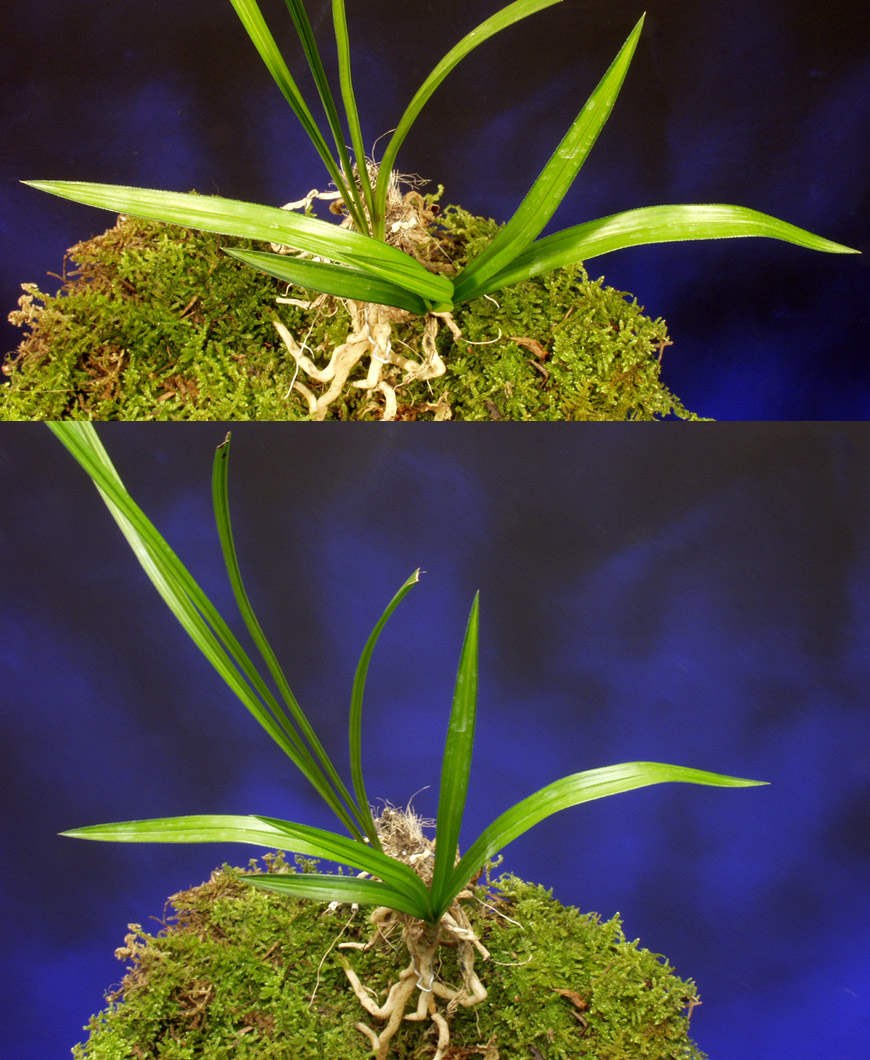 ������ ū������ �� �� �ֽ��ϴ�.