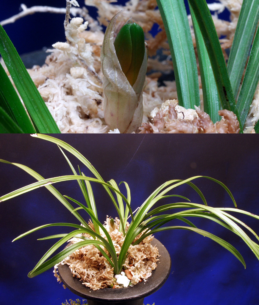 ������ ū������ �� �� �ֽ��ϴ�.