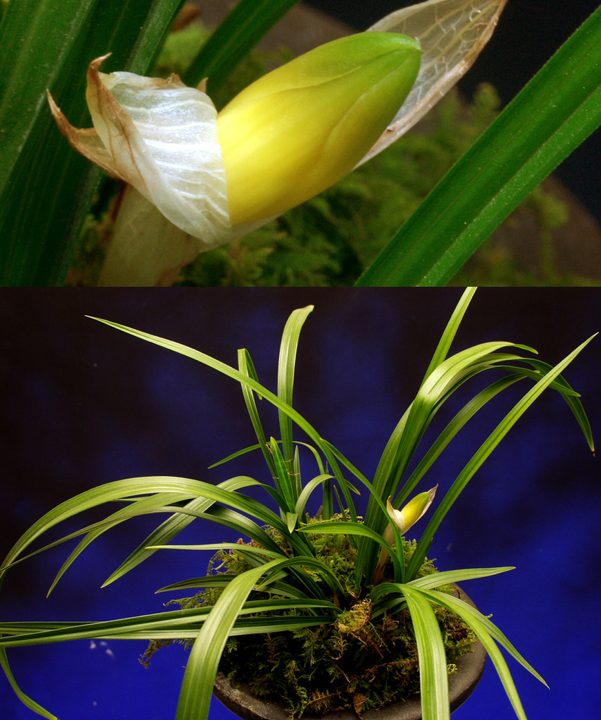 ������ ū������ �� �� �ֽ��ϴ�.