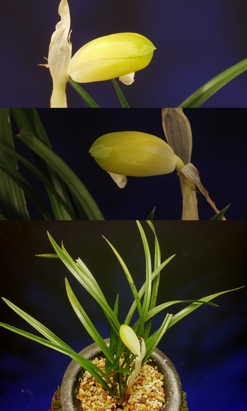 ������ ū������ �� �� �ֽ��ϴ�.