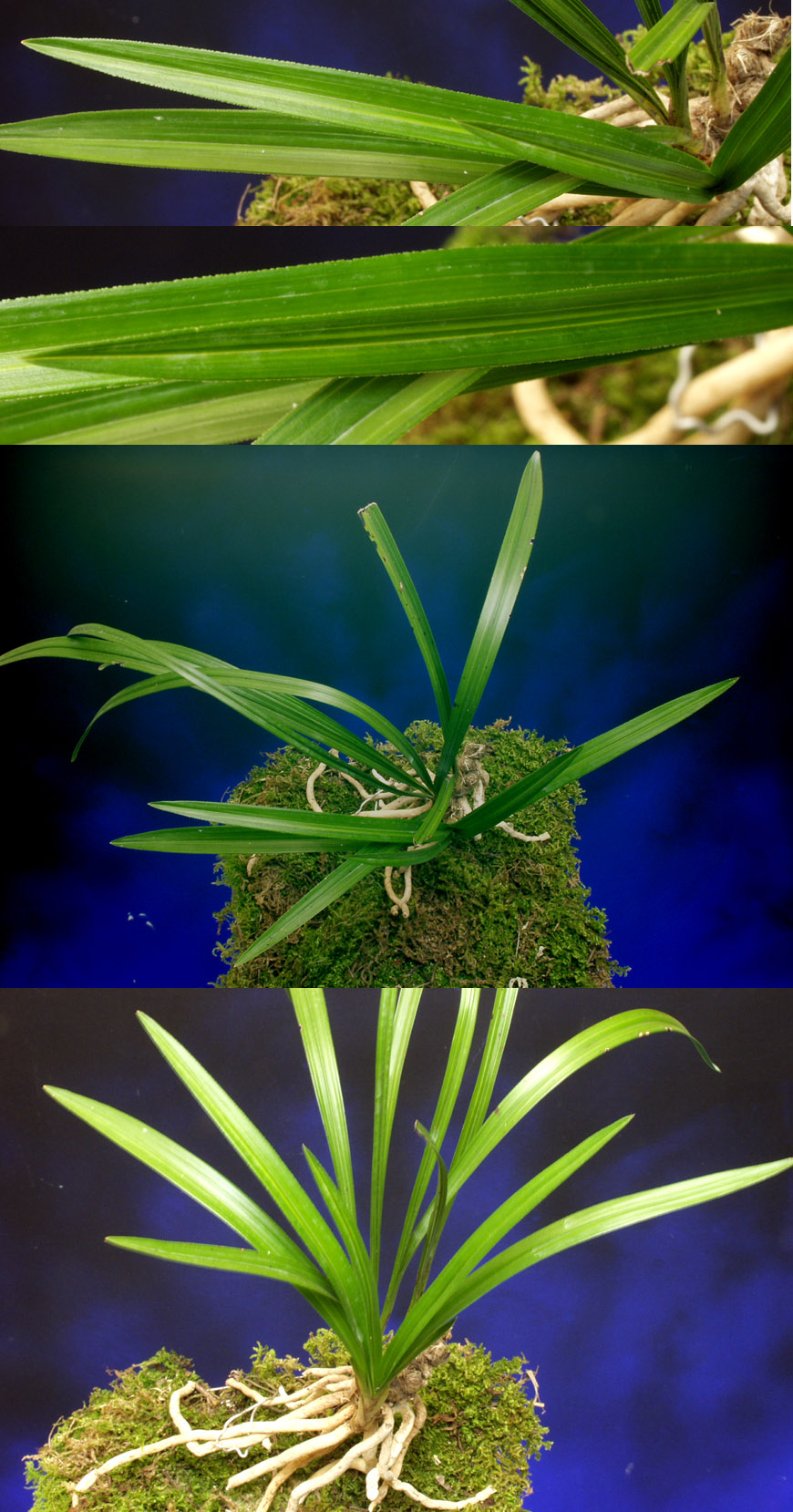 ������ ū������ �� �� �ֽ��ϴ�.