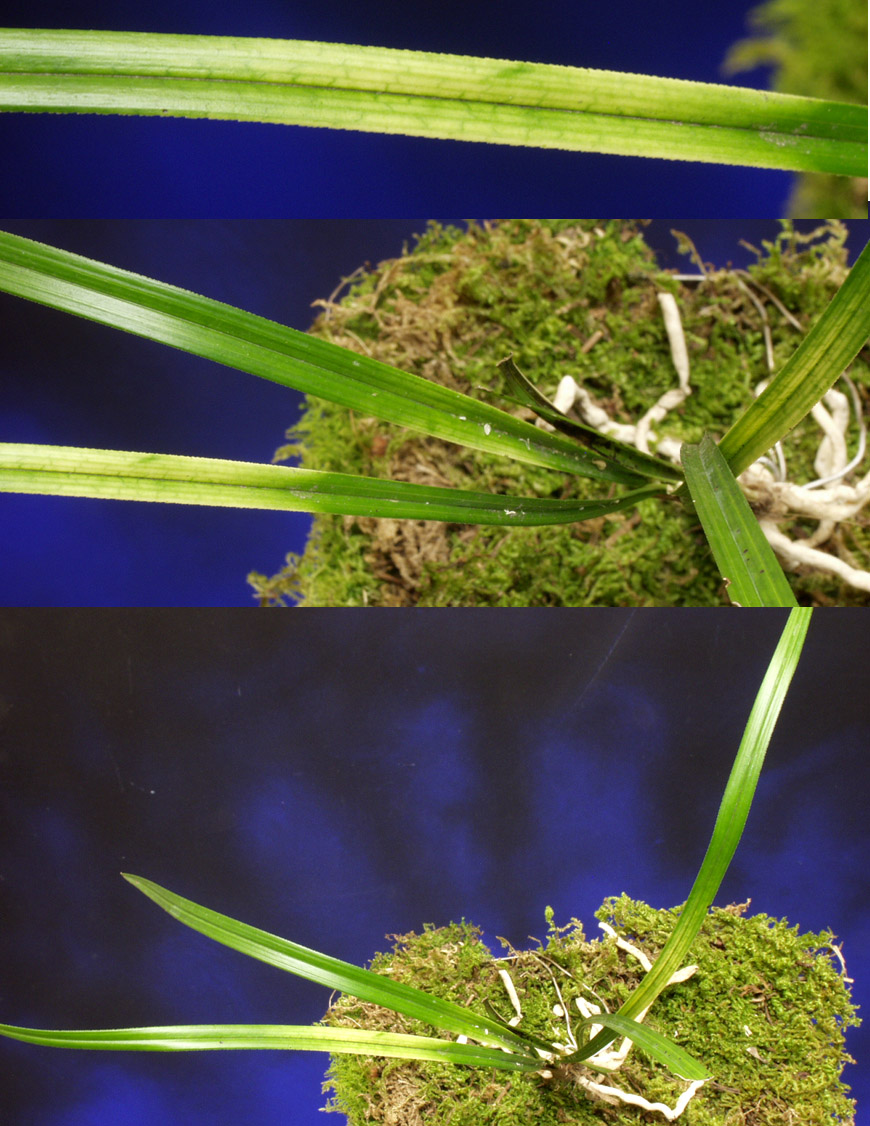 ������ ū������ �� �� �ֽ��ϴ�.