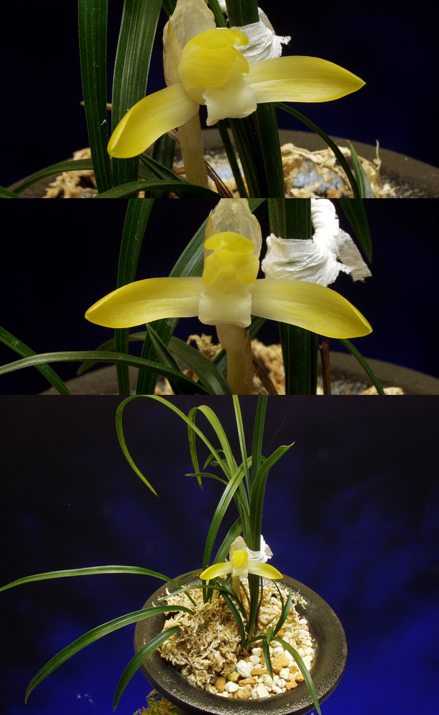 ������ ū������ �� �� �ֽ��ϴ�.