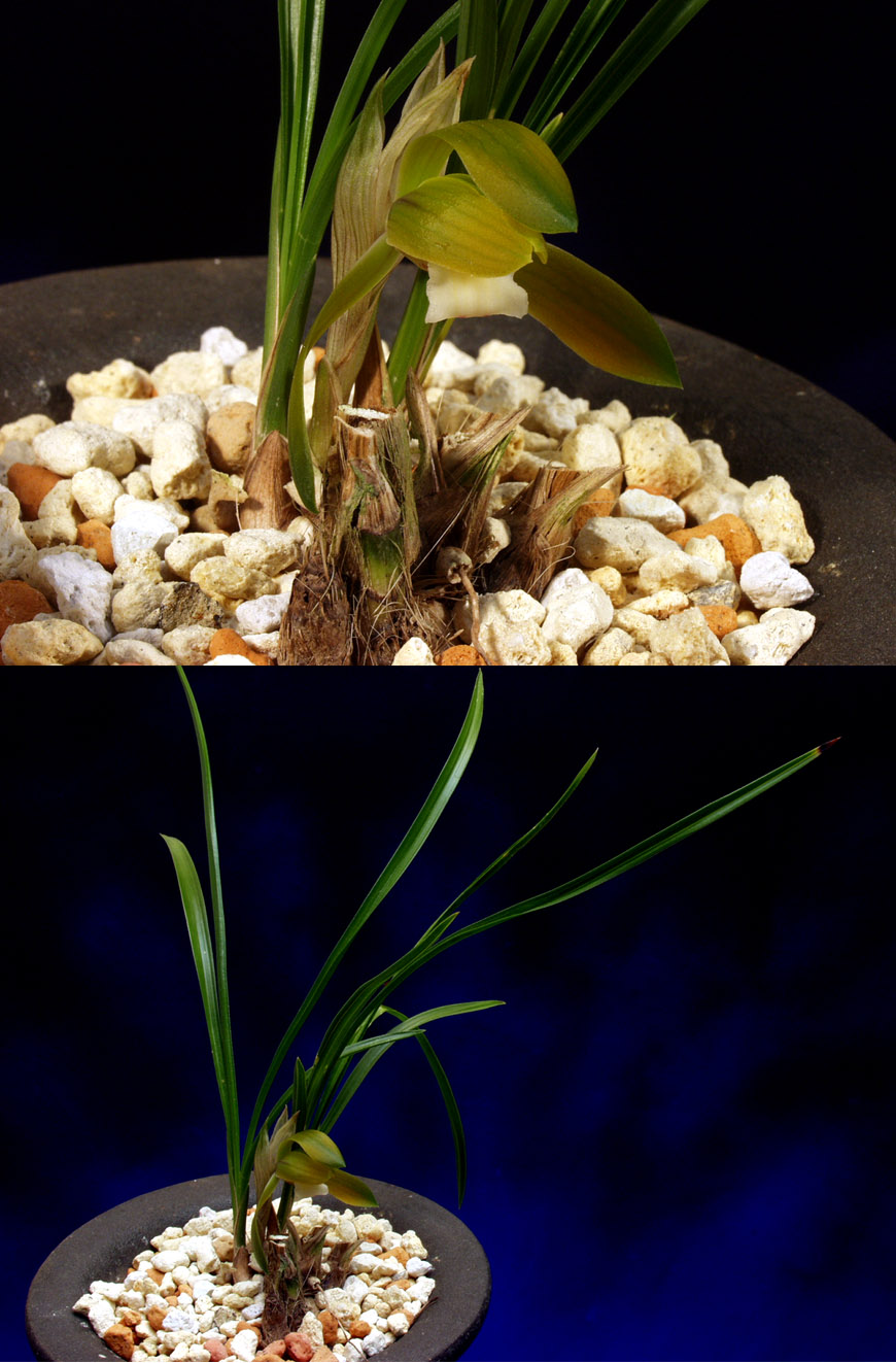 ������ ū������ �� �� �ֽ��ϴ�.