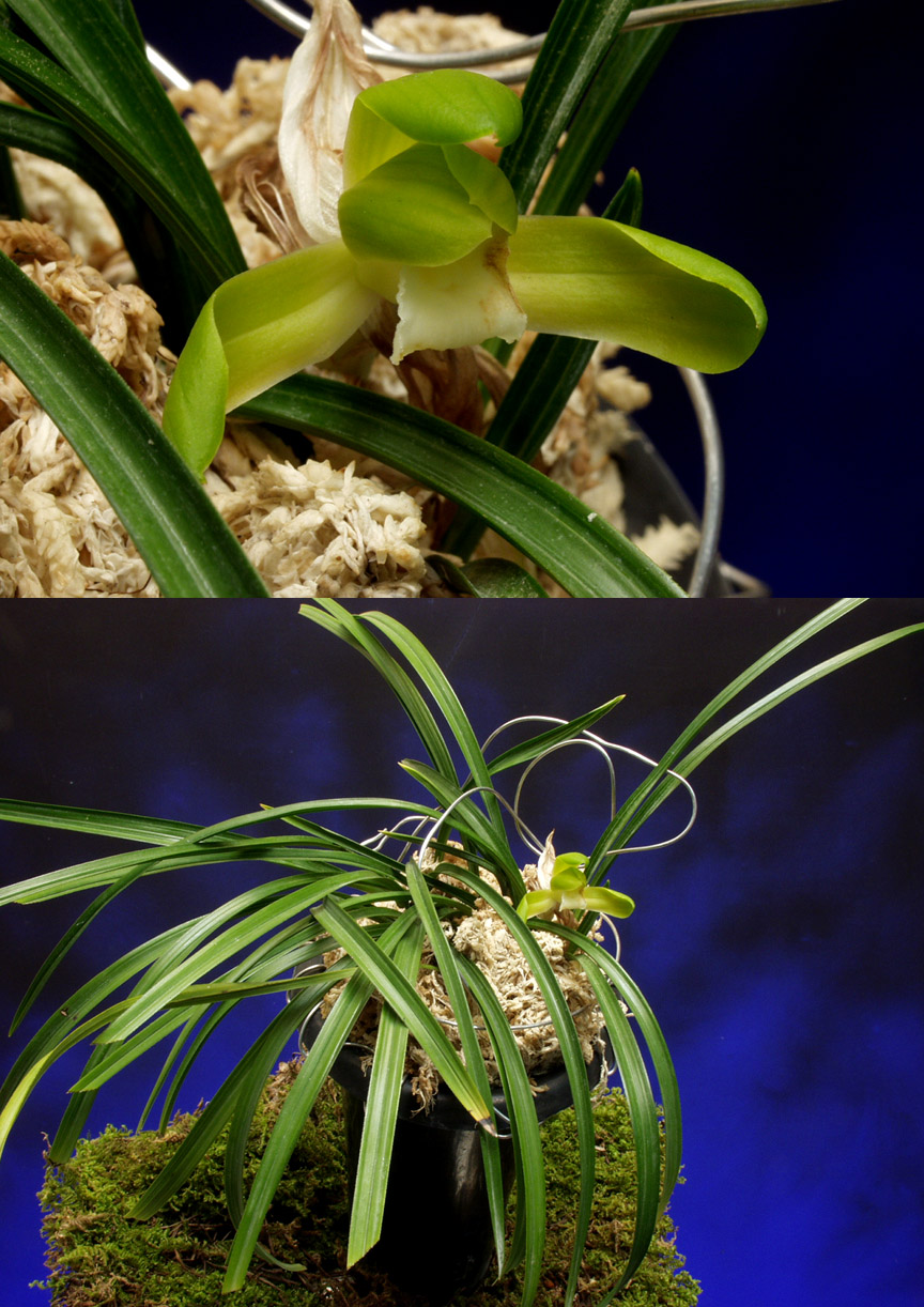 ������ ū������ �� �� �ֽ��ϴ�.