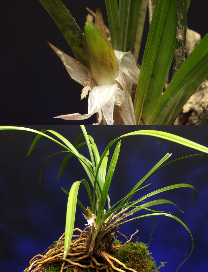 ������ ū������ �� �� �ֽ��ϴ�.