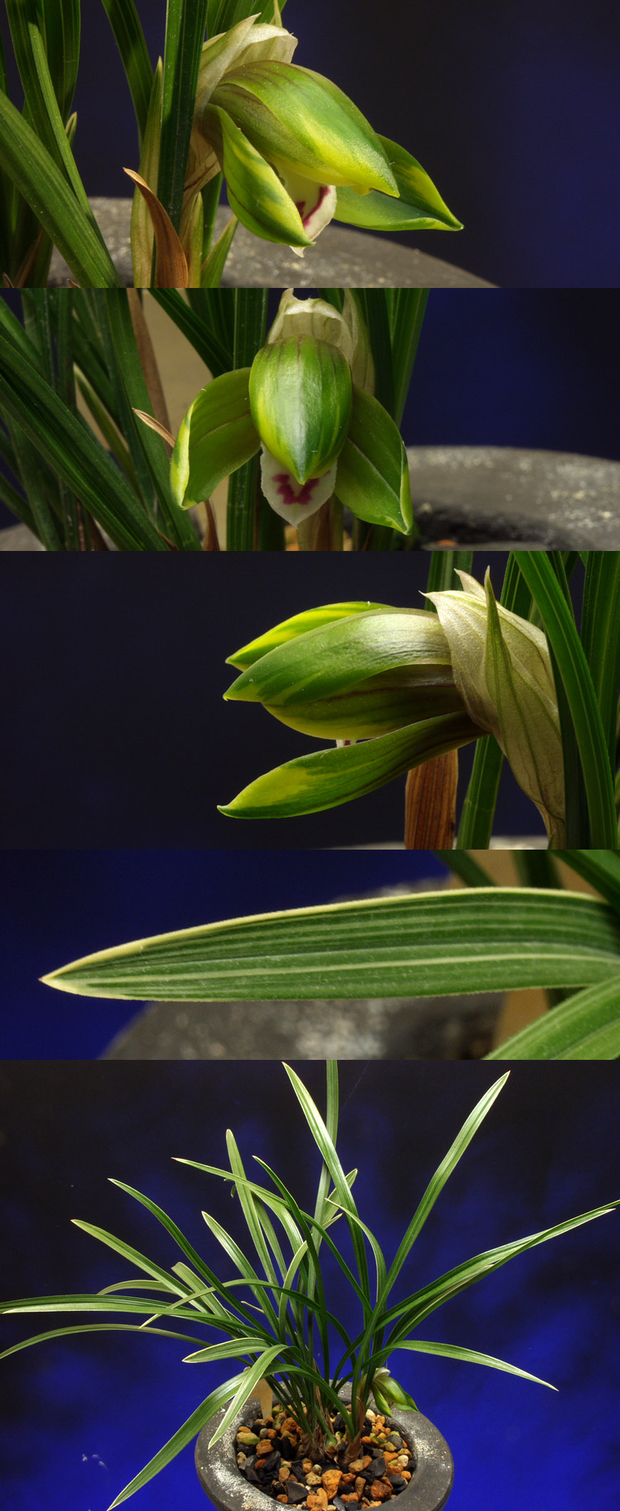 ������ ū������ �� �� �ֽ��ϴ�.