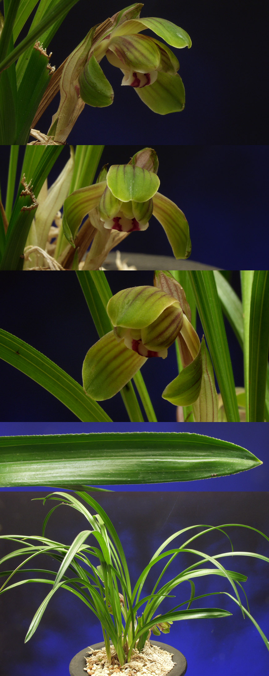 ������ ū������ �� �� �ֽ��ϴ�.