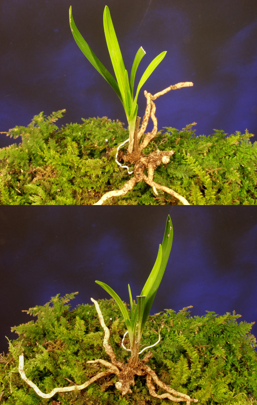 ������ ū������ �� �� �ֽ��ϴ�.