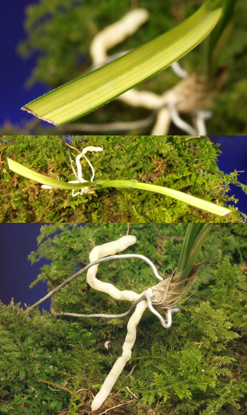 ������ ū������ �� �� �ֽ��ϴ�.