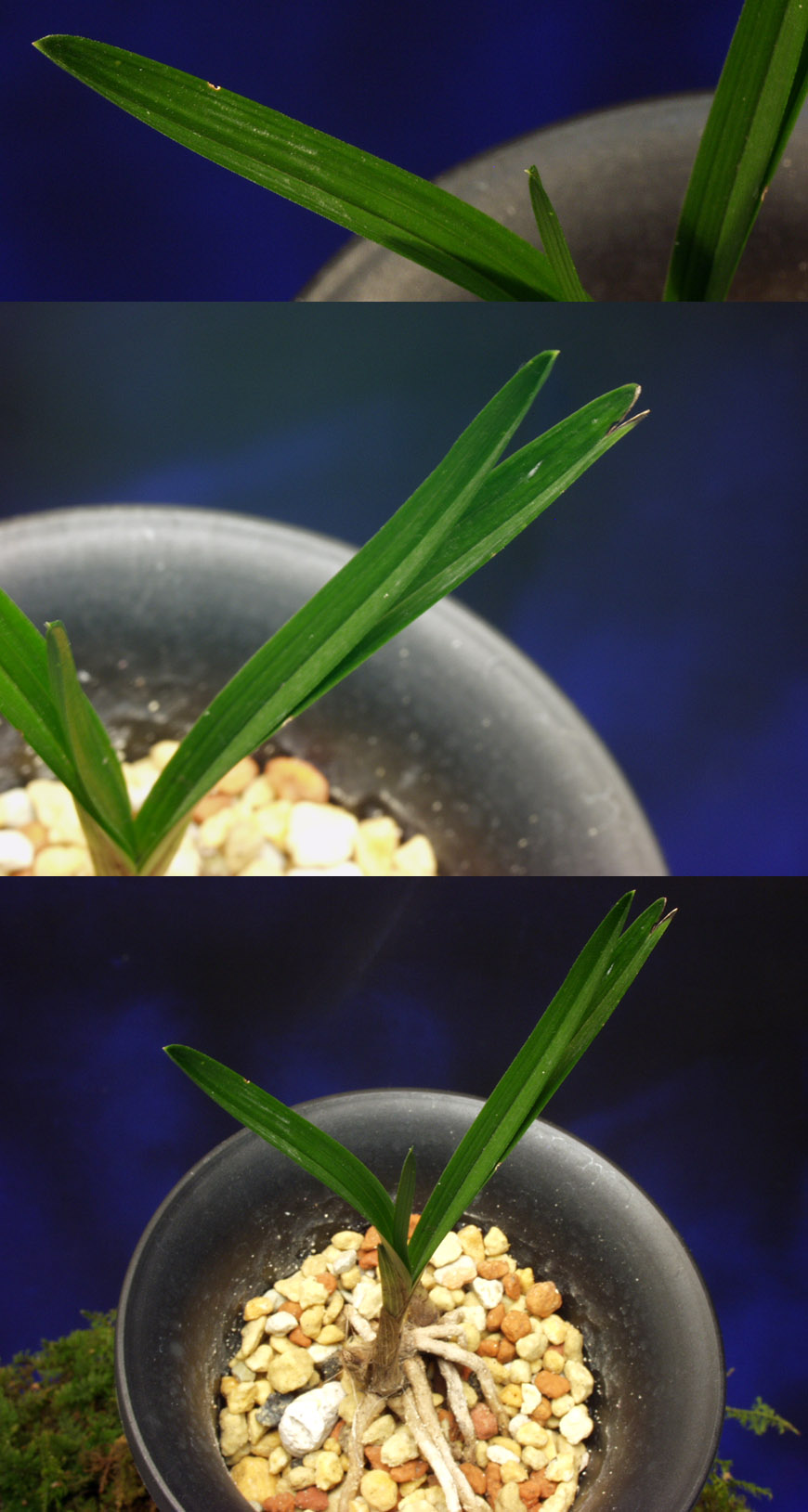 ������ ū������ �� �� �ֽ��ϴ�.