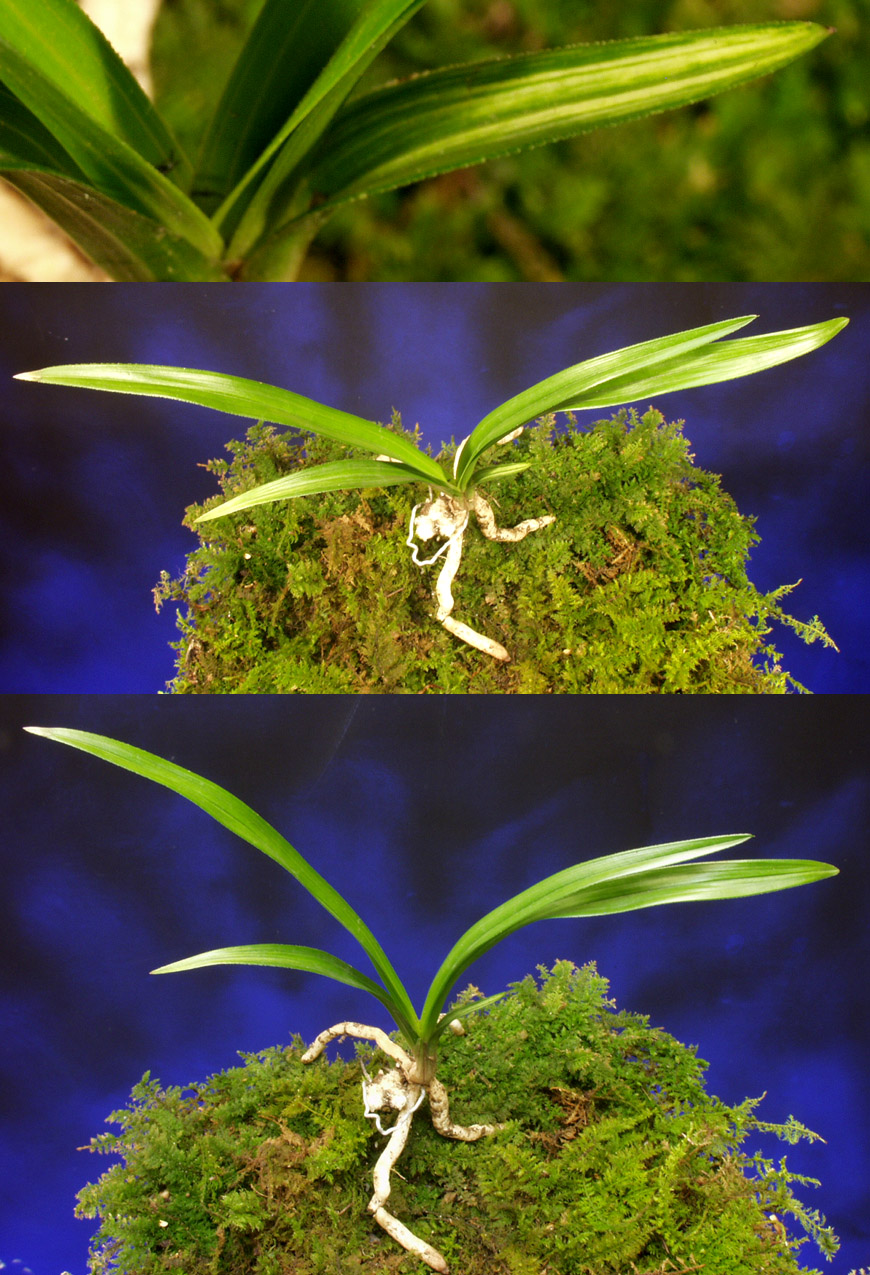 ������ ū������ �� �� �ֽ��ϴ�.