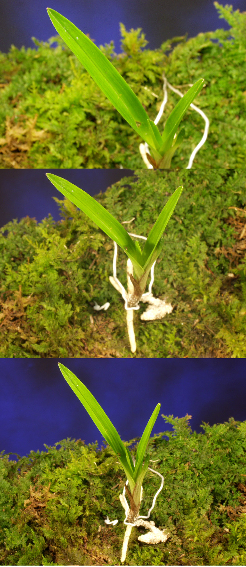 ������ ū������ �� �� �ֽ��ϴ�.