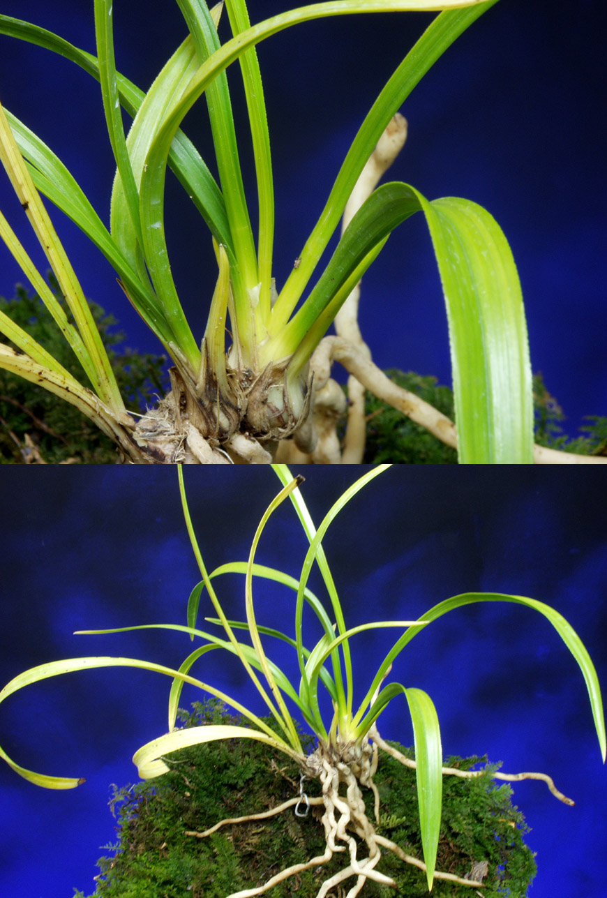 ������ ū������ �� �� �ֽ��ϴ�.