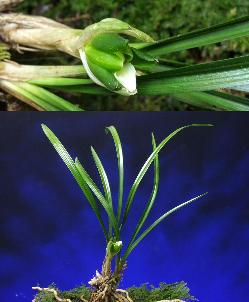 ������ ū������ �� �� �ֽ��ϴ�.