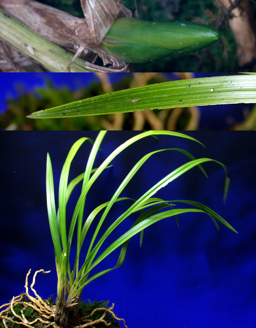 ������ ū������ �� �� �ֽ��ϴ�.