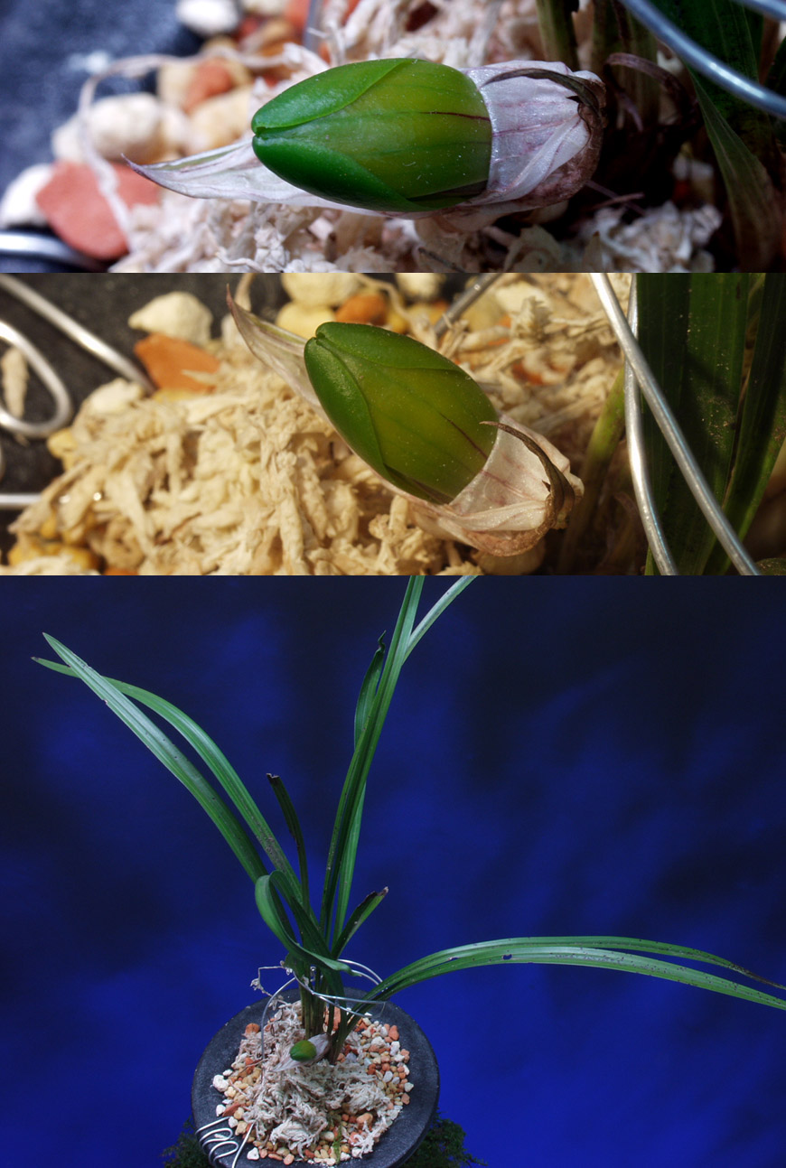 ������ ū������ �� �� �ֽ��ϴ�.