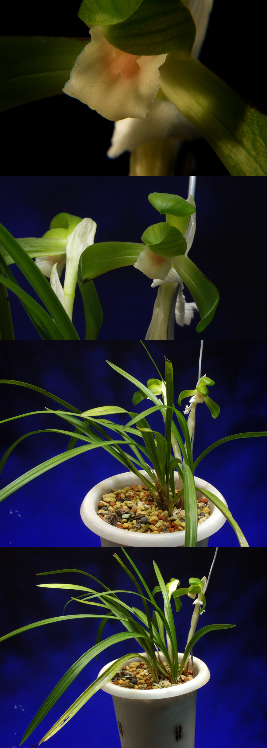 ������ ū������ �� �� �ֽ��ϴ�.