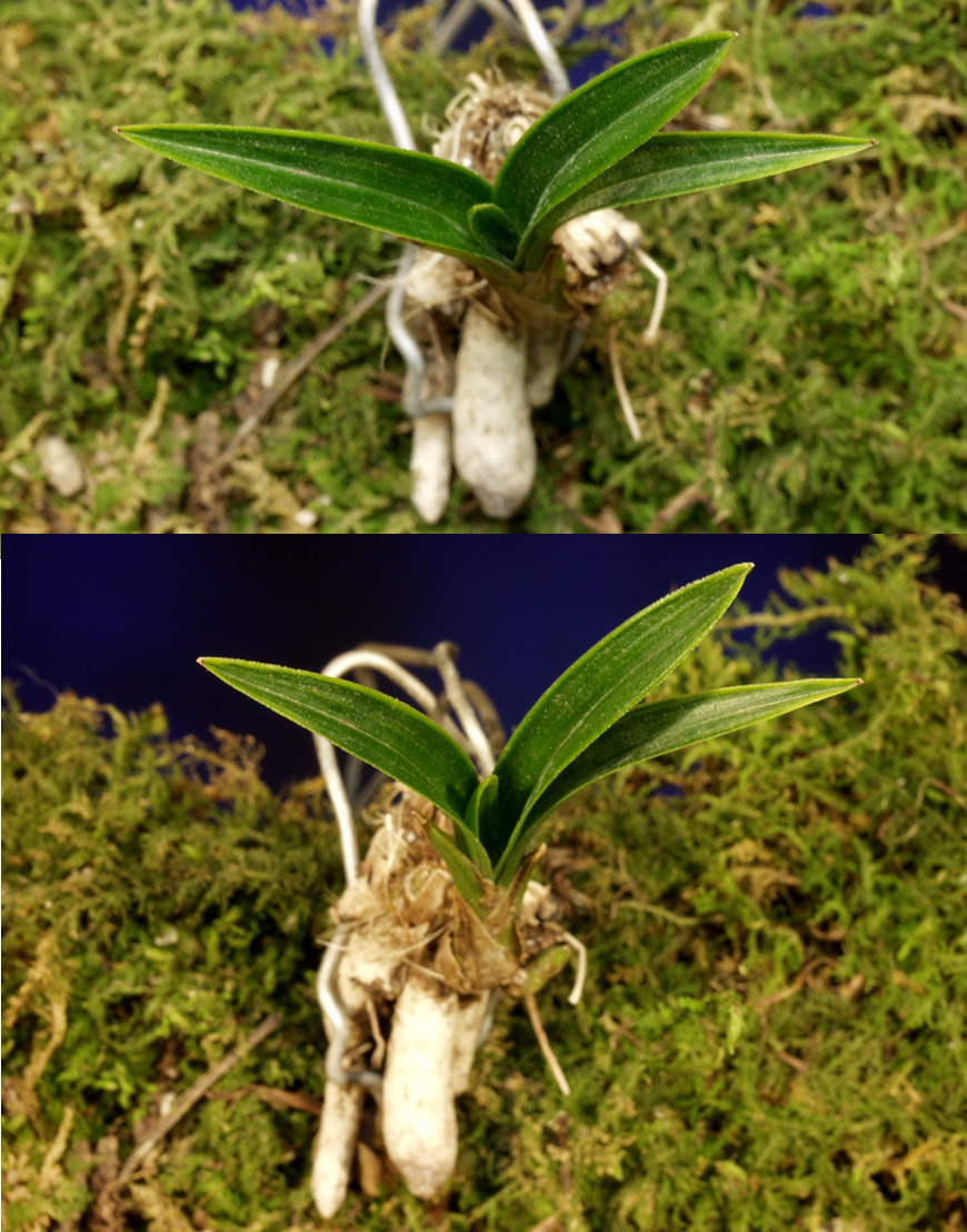 ������ ū������ �� �� �ֽ��ϴ�.