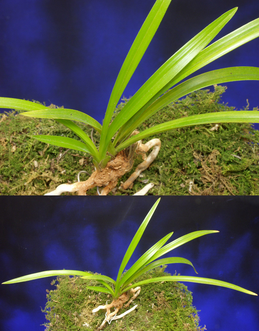 ������ ū������ �� �� �ֽ��ϴ�.