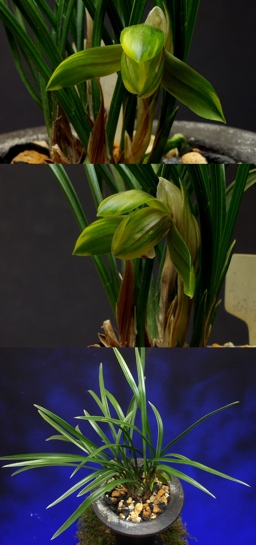 ������ ū������ �� �� �ֽ��ϴ�.