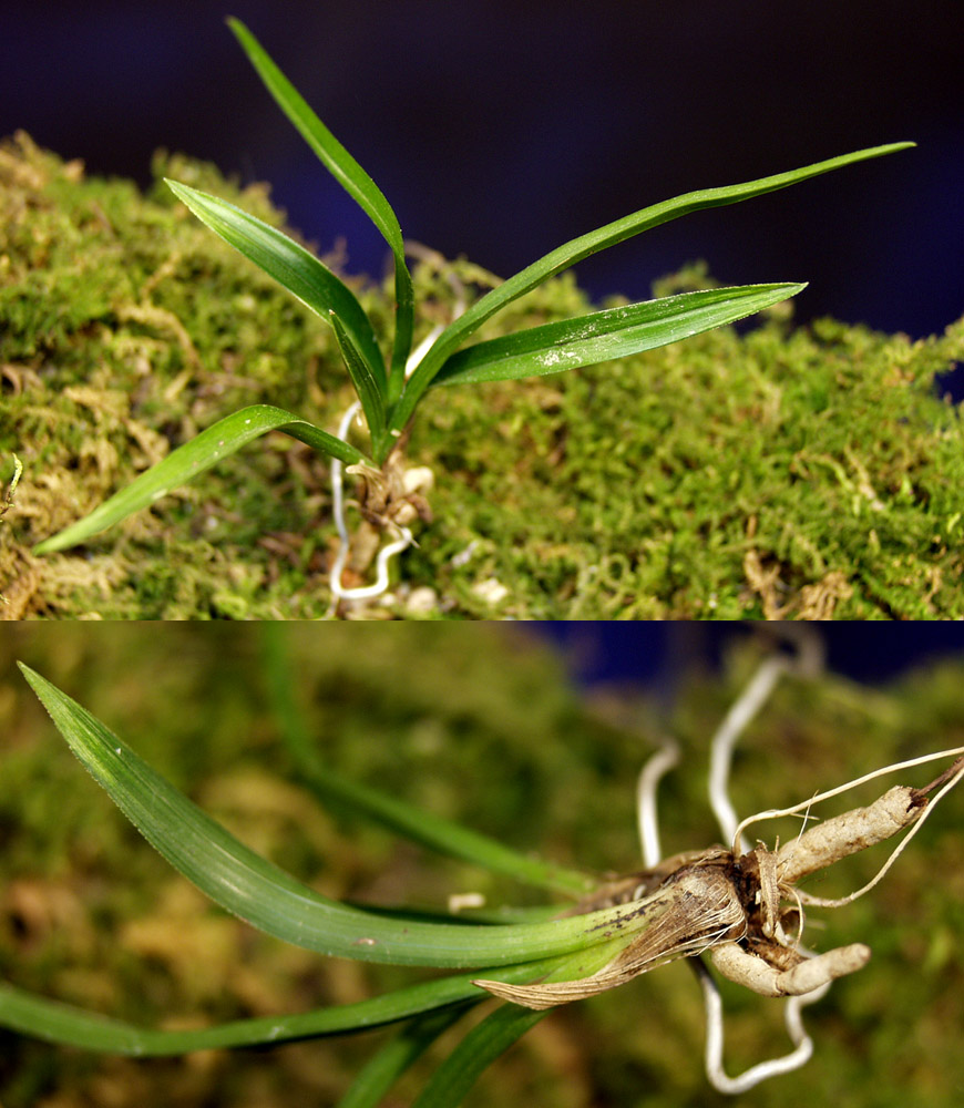 ������ ū������ �� �� �ֽ��ϴ�.