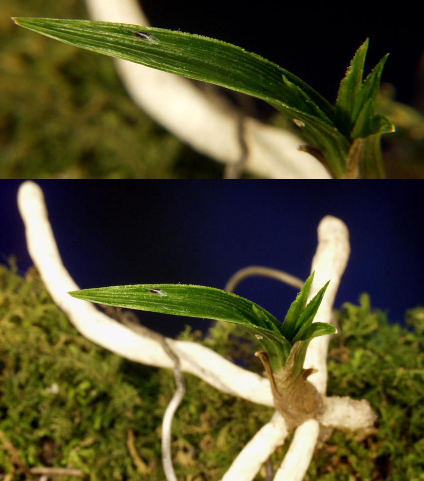 ������ ū������ �� �� �ֽ��ϴ�.