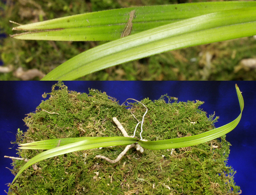 ������ ū������ �� �� �ֽ��ϴ�.