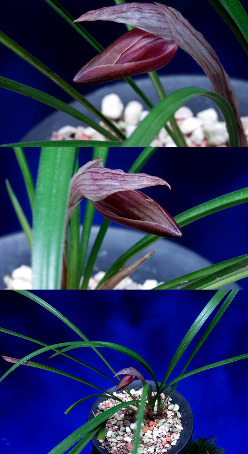 ������ ū������ �� �� �ֽ��ϴ�.