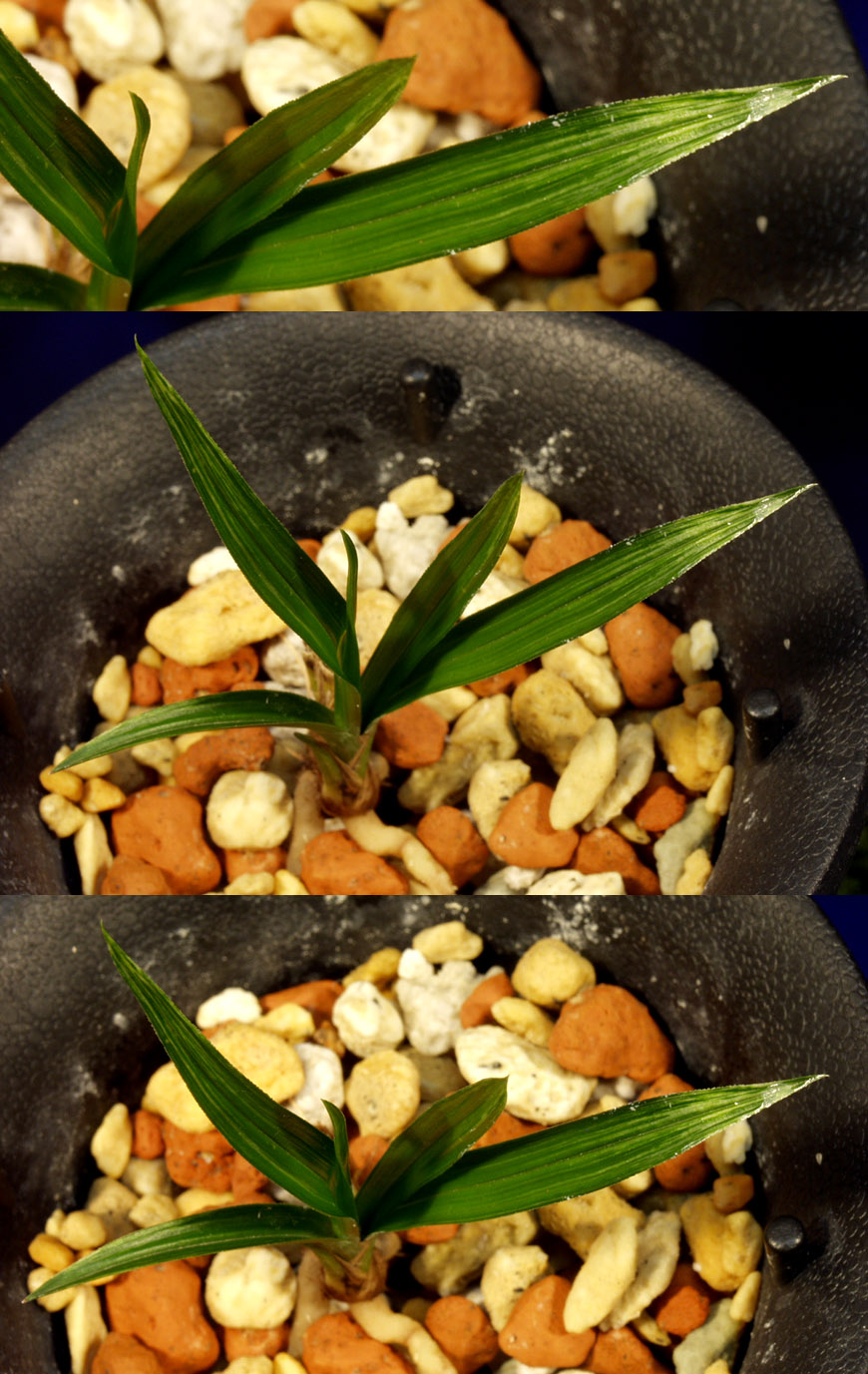 ������ ū������ �� �� �ֽ��ϴ�.