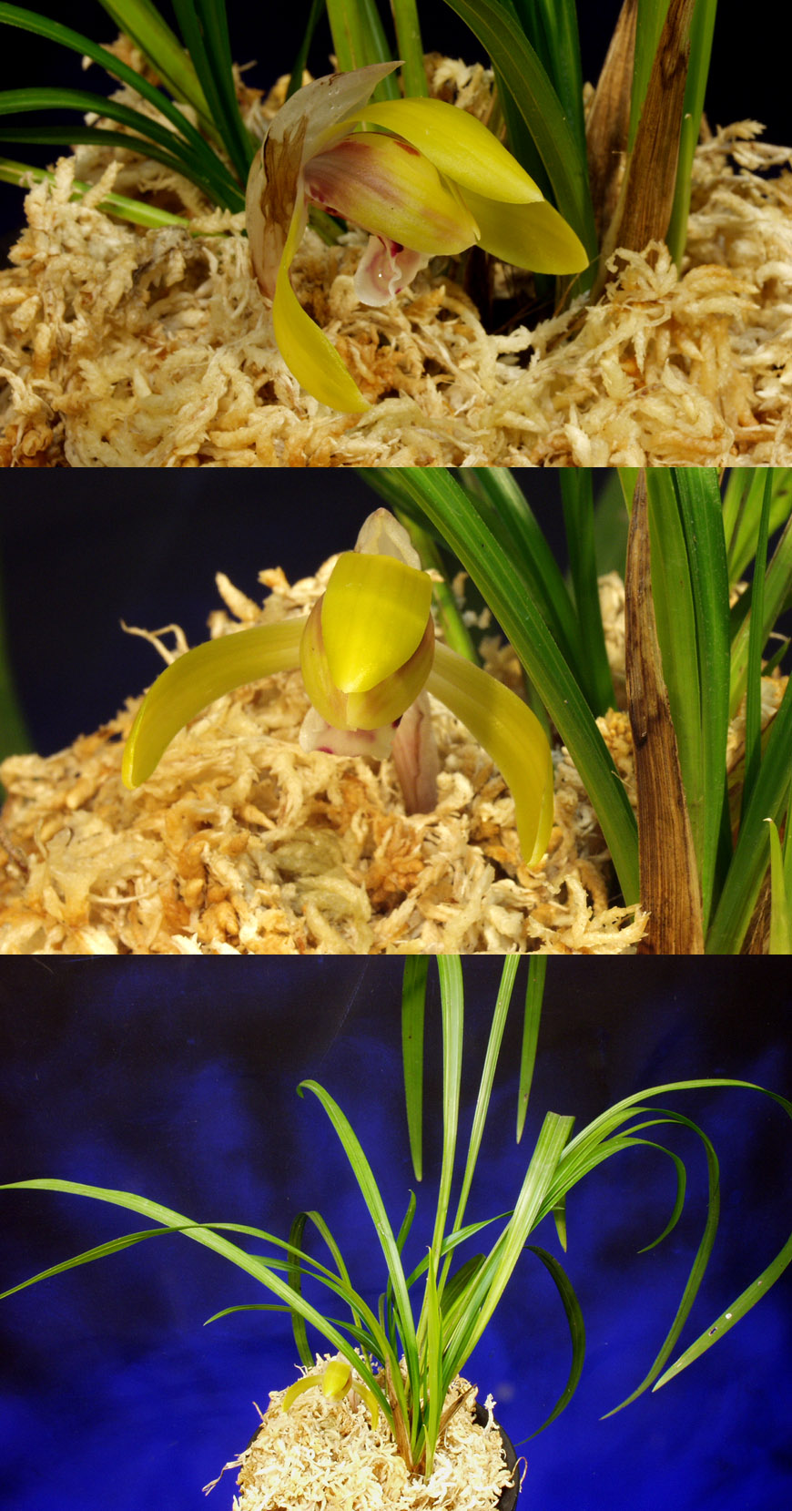 ������ ū������ �� �� �ֽ��ϴ�.