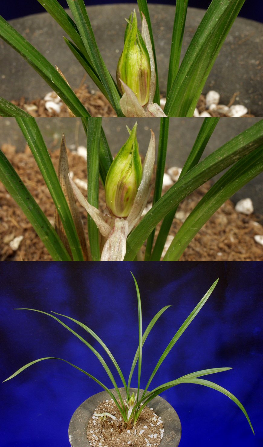 ������ ū������ �� �� �ֽ��ϴ�.