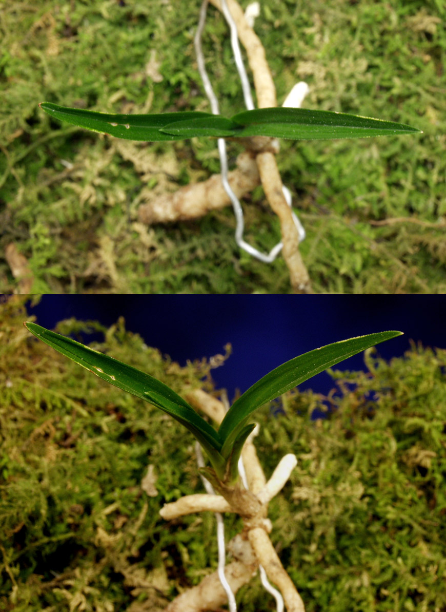 ������ ū������ �� �� �ֽ��ϴ�.