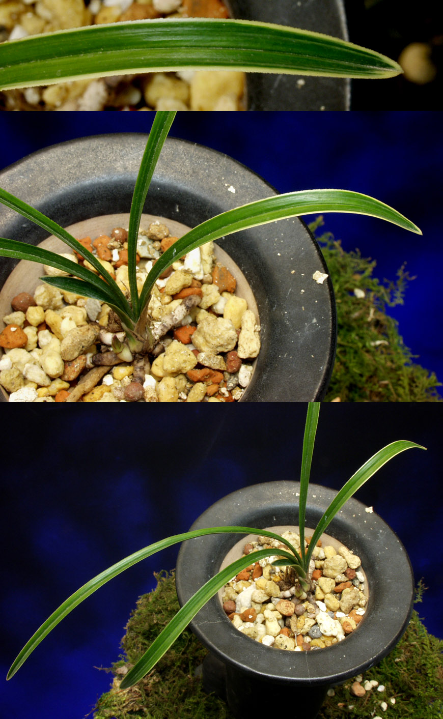 ������ ū������ �� �� �ֽ��ϴ�.