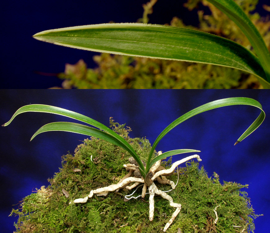 ������ ū������ �� �� �ֽ��ϴ�.