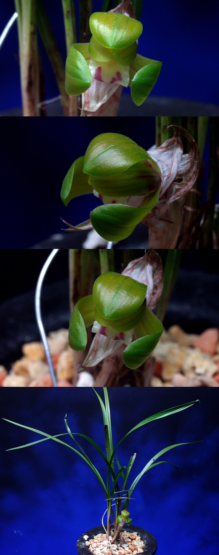 ������ ū������ �� �� �ֽ��ϴ�.