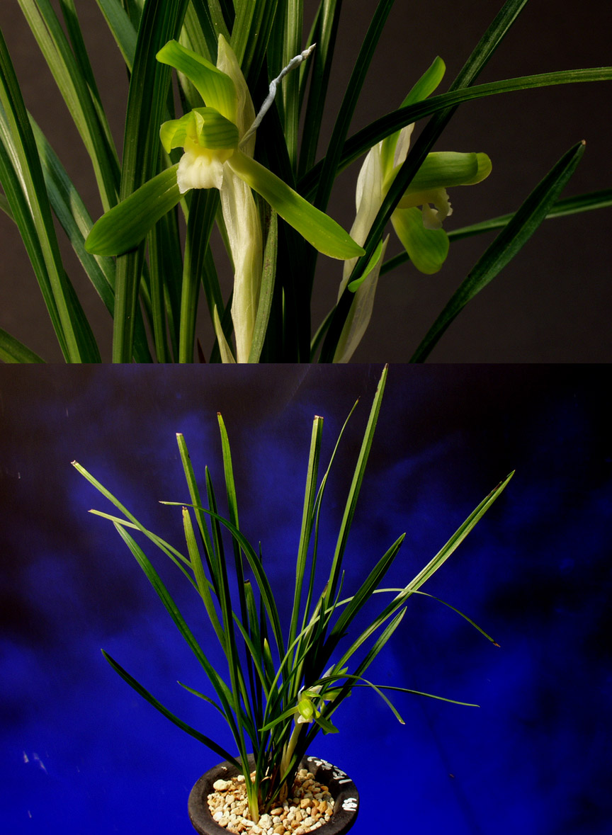 ������ ū������ �� �� �ֽ��ϴ�.