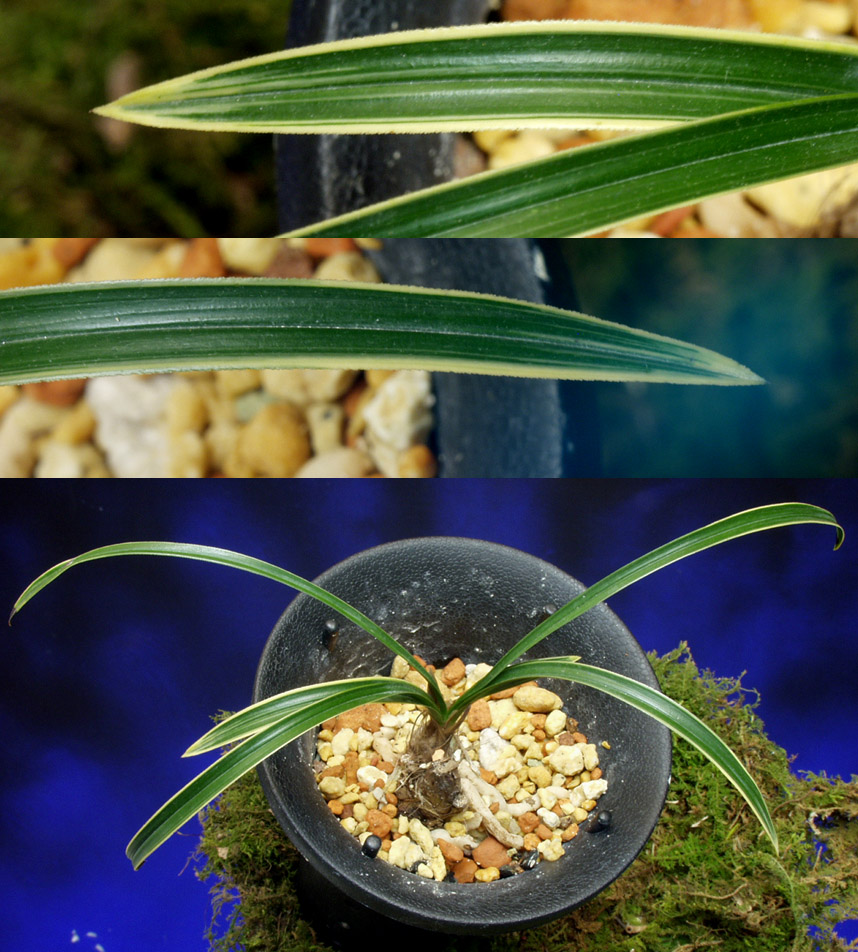 ������ ū������ �� �� �ֽ��ϴ�.