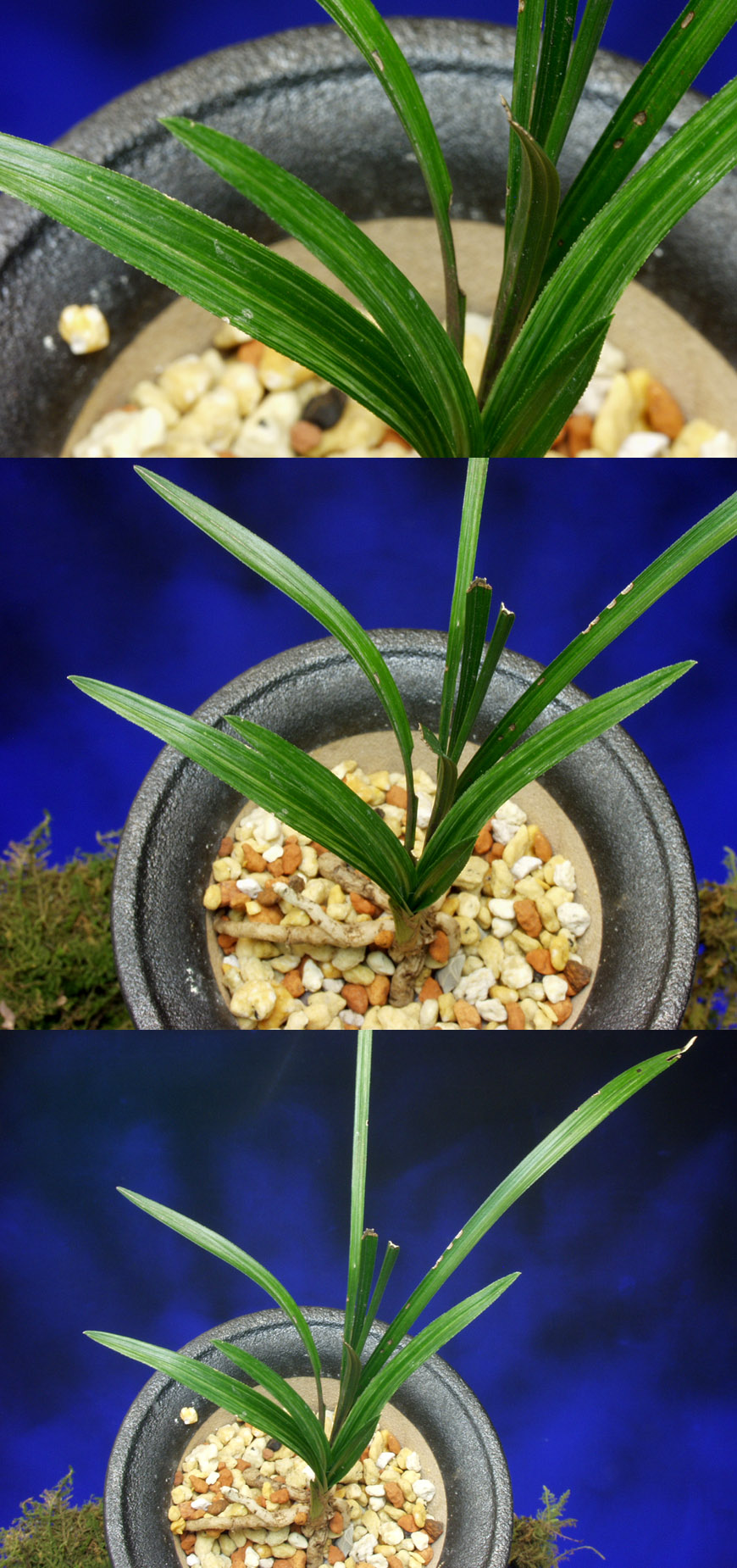 ������ ū������ �� �� �ֽ��ϴ�.