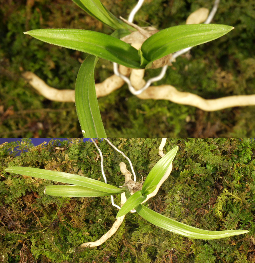 ������ ū������ �� �� �ֽ��ϴ�.