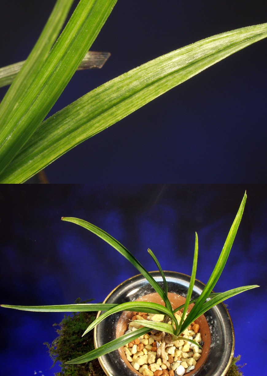 ������ ū������ �� �� �ֽ��ϴ�.