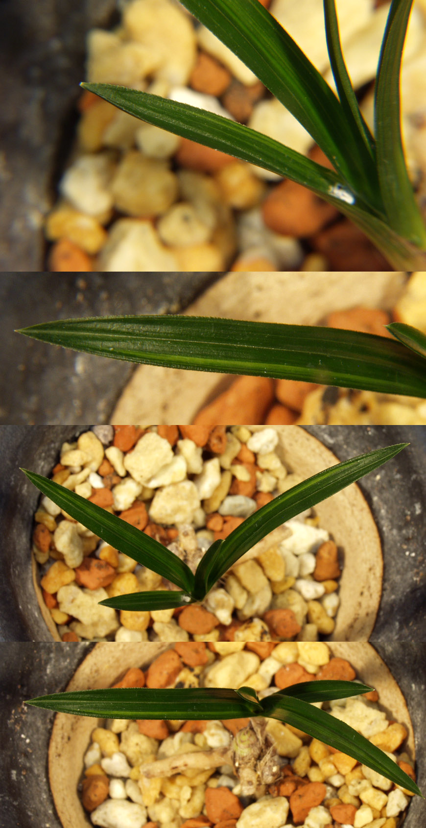 ������ ū������ �� �� �ֽ��ϴ�.