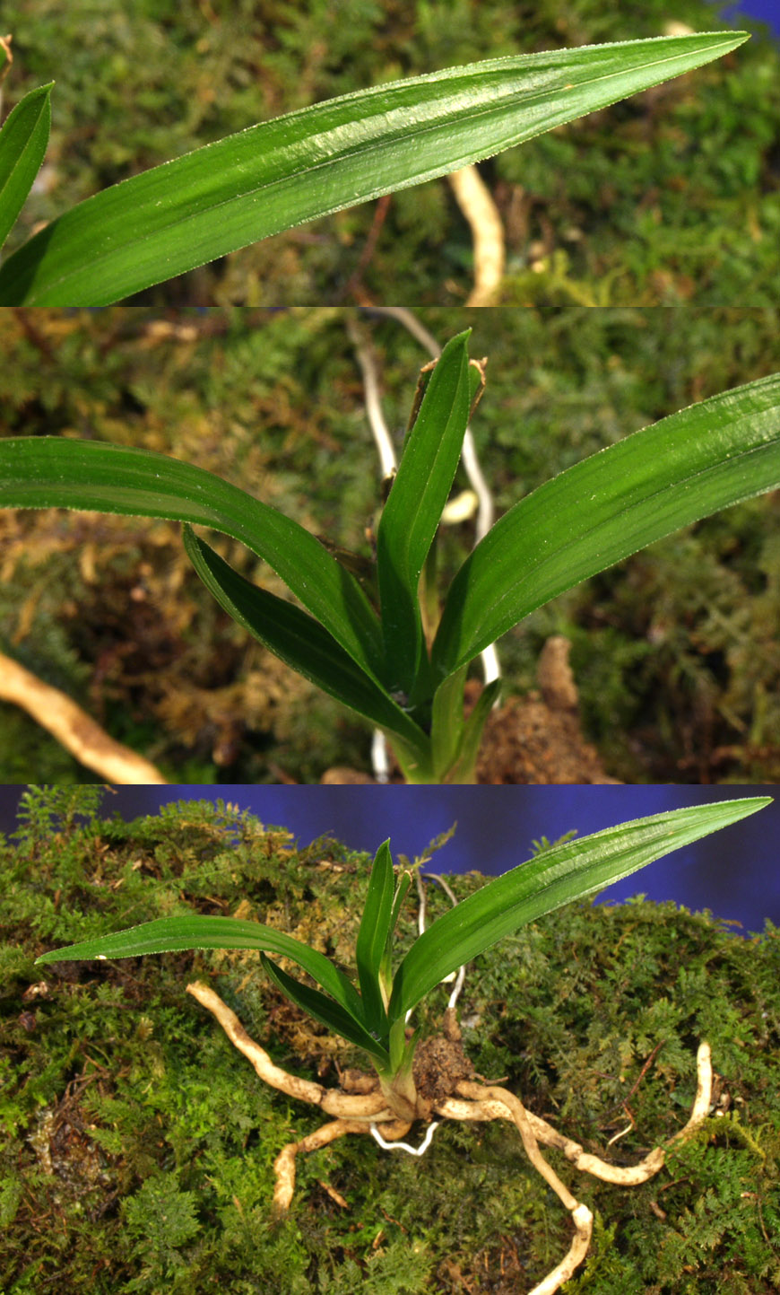 ������ ū������ �� �� �ֽ��ϴ�.