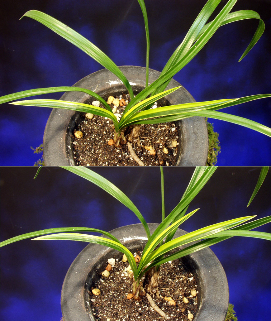 ������ ū������ �� �� �ֽ��ϴ�.