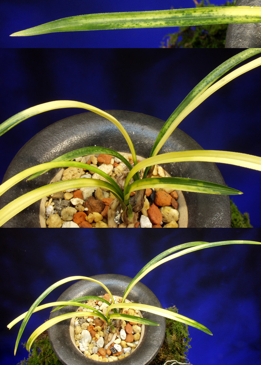 ������ ū������ �� �� �ֽ��ϴ�.