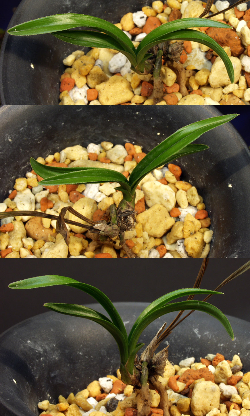 ������ ū������ �� �� �ֽ��ϴ�.